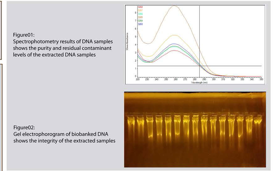 Quality assurance of biospecimens for biobanking purposes: Sri Lankan Twin Registry Biobank