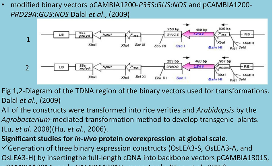 IRCUWU2019_Protein Overexpression II - Featured