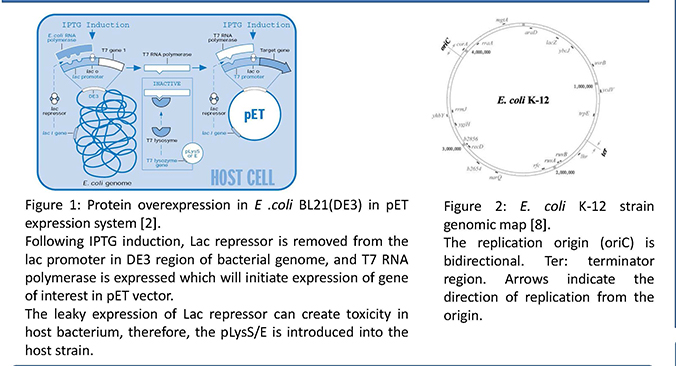 IRSUWU2018_Protein Overexpression II - Featured